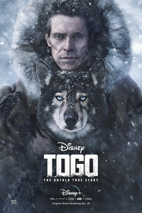 Read more about the article Togo (2019) English [Subtitles Added] WEB-DL Download | 480p [350MB] | 720p [1GB] | 1080p [2.4GB]